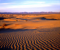 USA, California, Glamis Sand Dunes at Sunset by Danita Delimont