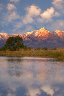 USA, California, Sierra Nevada Mountains by Danita Delimont