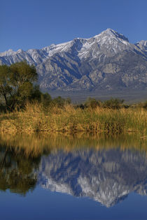 USA, California, Sierra Nevada Mountains von Danita Delimont