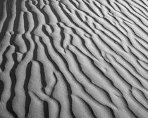 USA, California, Death Valley National Park by Danita Delimont