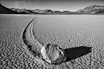 USA, California, Death Valley National Park von Danita Delimont