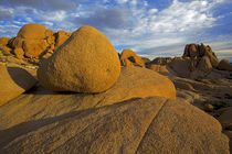 USA, California, Joshua Tree National Park, granite formatio... von Danita Delimont