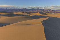 The Mesquite sand dunes in Death Valley National Park, California, USA by Danita Delimont