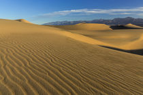 The Mesquite sand dunes in Death Valley National Park, California, USA von Danita Delimont