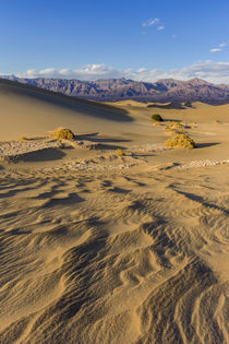 The Mesquite sand dunes in Death Valley National Park, California, USA von Danita Delimont