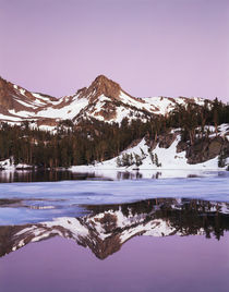 California, Sierra Nevada Mountains, Mammoth Lakes, Alpenglo... by Danita Delimont