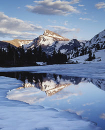 California, Sierra Nevada Mountains, Dana Peak reflecting in... by Danita Delimont