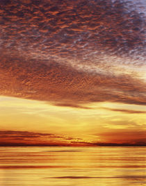 USA, California, San Diego, Sunset over the Pacific Ocean. von Danita Delimont