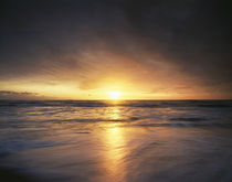 USA, California, La Jolla, Sunset over a beach and waves on ... von Danita Delimont