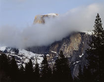 USA, California, Sierra Nevada Mountains, Yosemite National ... by Danita Delimont
