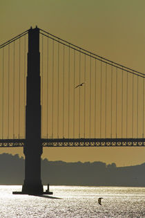 USA, California, San Francisco, Golden Gate Bridge, and afte... by Danita Delimont