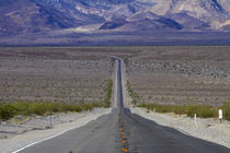 State Route 190 through Death Valley near Stovepipe Wells, t... by Danita Delimont