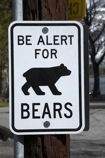 Bear warning sign, Silver Lake Resort, Silver Lake, near Jun... by Danita Delimont