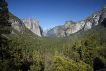 El Capitan, Yosemite Valley, Half Dome, and Bridalveil Fall,... by Danita Delimont
