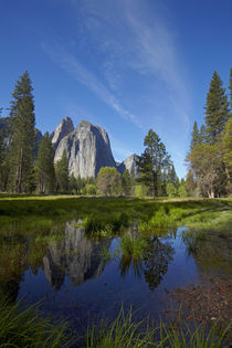 Cathedral Rocks reflected in a pond in Yosemite Valley, Yose... von Danita Delimont