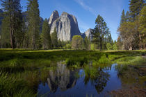 Cathedral Rocks reflected in a pond in Yosemite Valley, Yose... by Danita Delimont