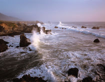 Waves crashing on the rugged Big Sur coast of California by Danita Delimont