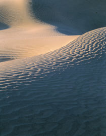 sand dune by Danita Delimont