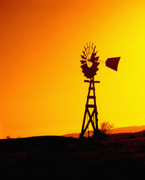 Windmill Silhouette at Sunset by Danita Delimont