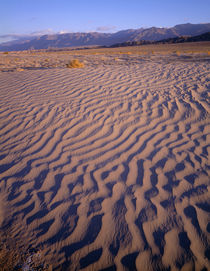 USA, California, Death Valley National Park, Textures in san... von Danita Delimont
