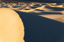 USA, California, Valley Dunes von Danita Delimont