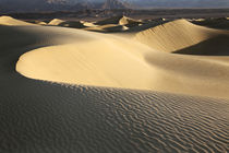 USA, California, Valley Dunes von Danita Delimont