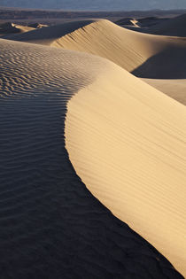 USA, California, Valley Dunes by Danita Delimont