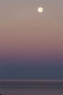 USA, California, Moonset over Pacific Ocean von Danita Delimont