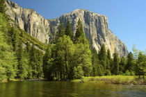 Yosemite from Valley Floor, Sierra-Nevada, Merced River, fro... by Danita Delimont