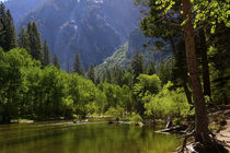 Merced River, Valley Floor, Yosemite National Park, California, USA von Danita Delimont
