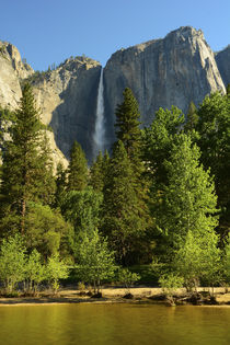 Upper Yosemite Falls, Merced River, Yosemite National Park, ... von Danita Delimont