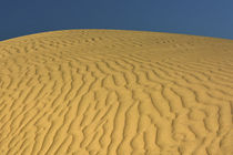 Sunrise over Mesquite Flat Dunes in Death Valley National Pa... von Danita Delimont