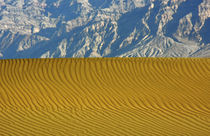 Sand Ripples and Mountains, Mesquite Flat Dunes, Death Valle... by Danita Delimont