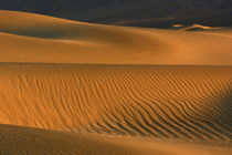 Sand ripples of the Mesquite Flat Dunes, Death Valley Nation... von Danita Delimont