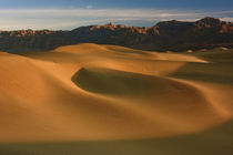 Sand ripples of the Mesquite Flat Dunes, Death Valley Nation... von Danita Delimont