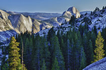 Yosemite National Park, CA, Half Dome in evening glow from O... von Danita Delimont