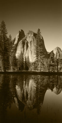 USA, California, Yosemite National Park, View of valley's sh... by Danita Delimont