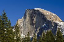 Afternoon light on Half Dome, California, Usa by Danita Delimont