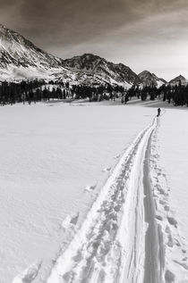Backcountry skier, John Muir Wilderness, Sierra Nevada Mount... by Danita Delimont