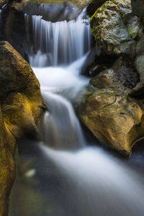 Cascade on Hare Creek, Limekiln State Park, Big Sur, California, Usa by Danita Delimont