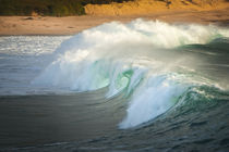 Carmel beach, California, breaking wave by Danita Delimont