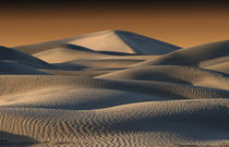 Undulating sand dunes of Death Valley in golden light von Danita Delimont