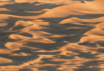Abstract sand dunes of Death Valley glowing in sunset light by Danita Delimont