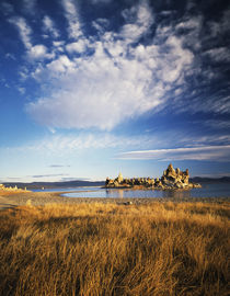 USA, California, Rock formations in Mono lake by Danita Delimont