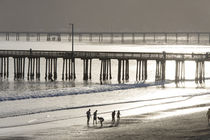 Usa, California, Avila Beach by Danita Delimont