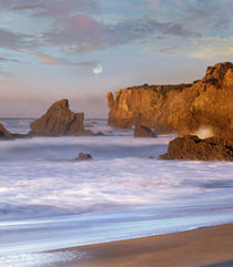 Moon over El Matador Beach, Malibu, California, USA von Danita Delimont