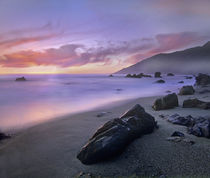 Kirk Creek Beach, Big Sur, California, USA by Danita Delimont