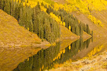 USA, Colorado, Rocky Mountains, Gunnison National Forest, Cr... von Danita Delimont