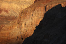 USA, Arizona, Grand Canyon National Park by Danita Delimont