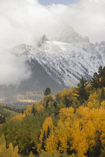 USA, Colorado, Sneffels Range von Danita Delimont